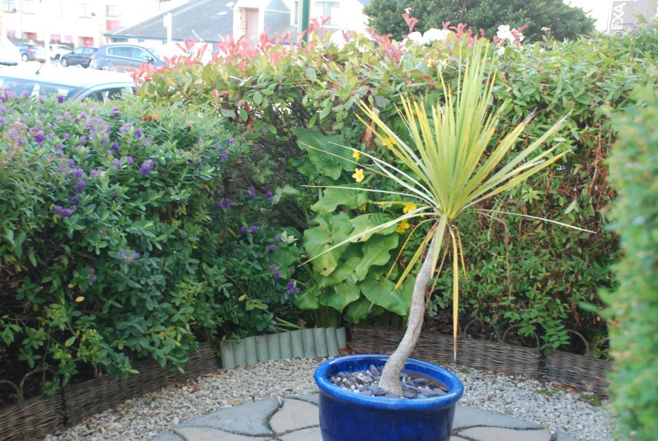 Trevali 4* Bognor Regis